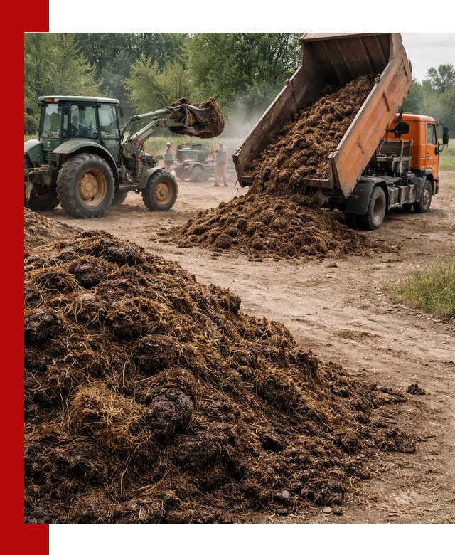 Доставка навоза самосвалами в Карпинске для сельхозпотребностей